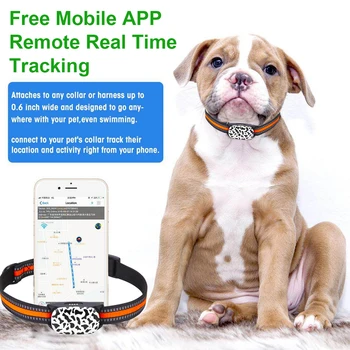 4G מחמד צווארון Tracker אנטי-אבוד בטיחות מעקב חכם צווארון המכשיר עמיד למים שליטה מרחוק אפליקציה נטענת עבור הכלב חיות