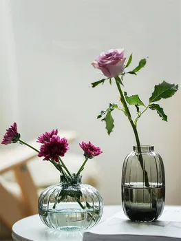הנורדיות-Mini שקוף אגרטל זכוכית קטן דלעת גידול מיכל פרח חמוד בקבוק בסלון קישוט הבית באביזרים